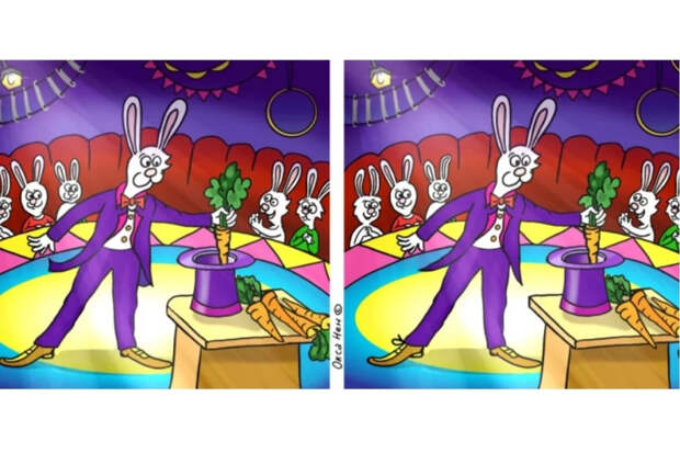 Заячья магия: найдите 11 отличий на картинке с фокусником