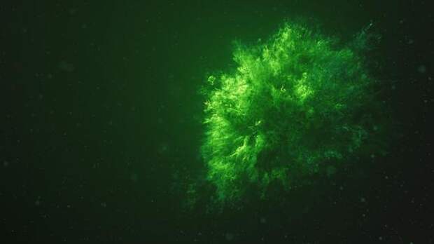 Компьютер год проработал без сбоев на фотосинтезе сине-зеленых водорослей
