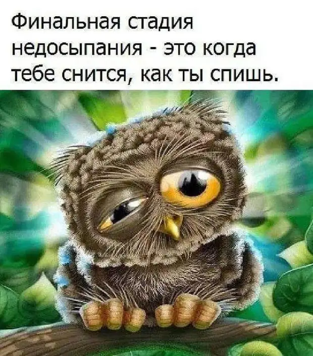 20 ярких женских шуток, которые поднимут настроение на весь день