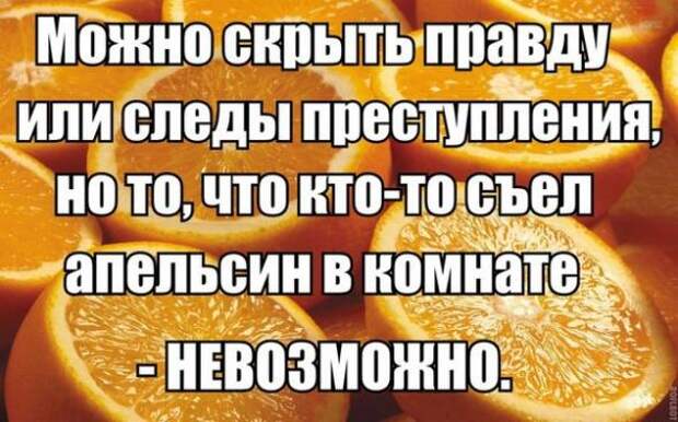 Картинки, юмор, приколы