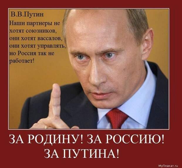 Картинки по запросу во всем виноват Путин