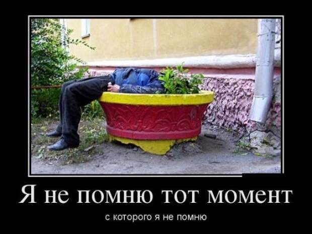Демотиваторы (30 фото)