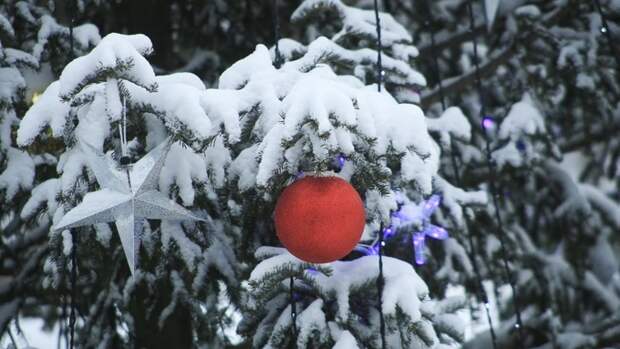Убирать в доме, ходить в гости. Что можно и нельзя делать 1 января