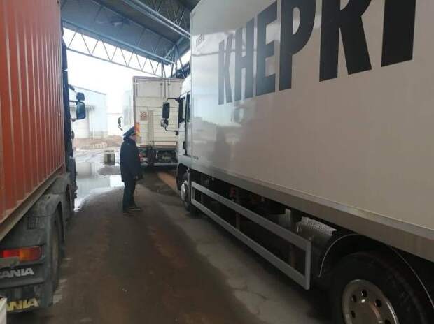 Картины с выставок в Италии и Японии вернулись в Россию