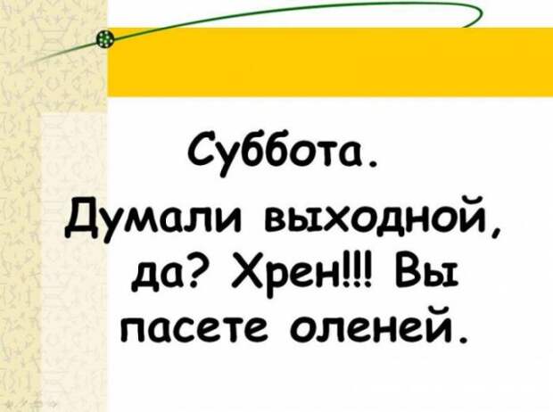 Если вам надоела ваша работа? (25 фото)