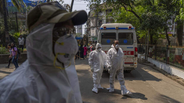 В Роспотребнадзоре рассказали, как уберечься от вируса Нипах