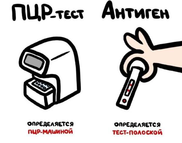 Короткие интересные факты обо всем