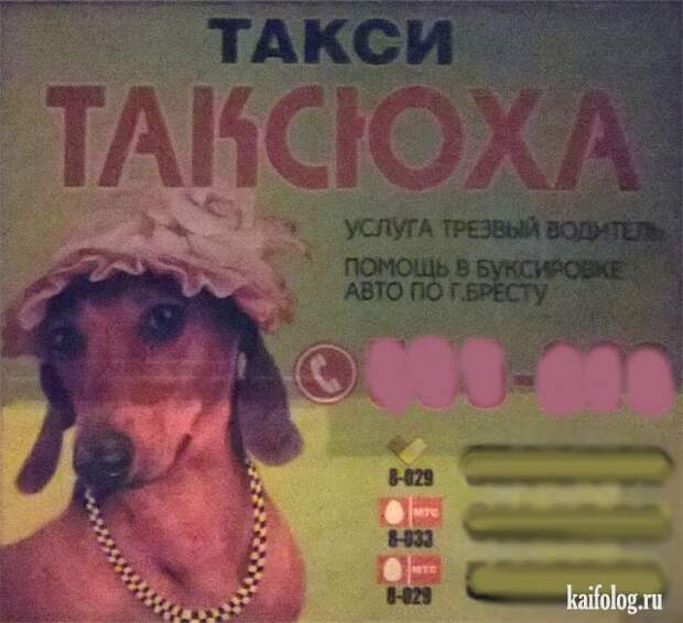 Прикольное такси (50 фото)
