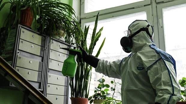 Юрист Ушаков: за размещение комнатных растений в подъезде грозит крупный штраф