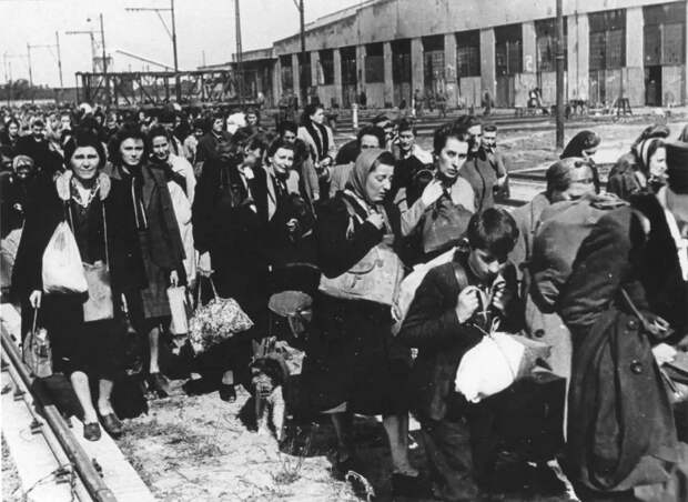 Werwolf - партизаны Третьего Рейха. Германские территории, присоединенные к Польше и западная Польша