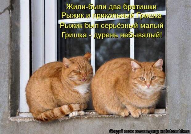 Мысли вслух :)