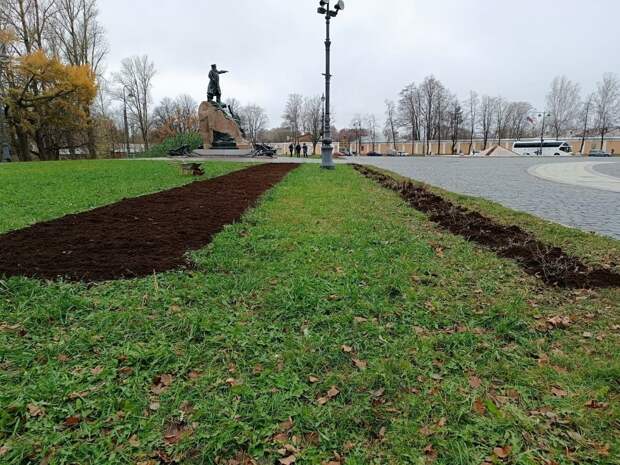 Петербургские садовники продолжают укрывать растения на зиму