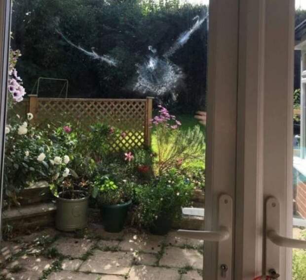 Окно