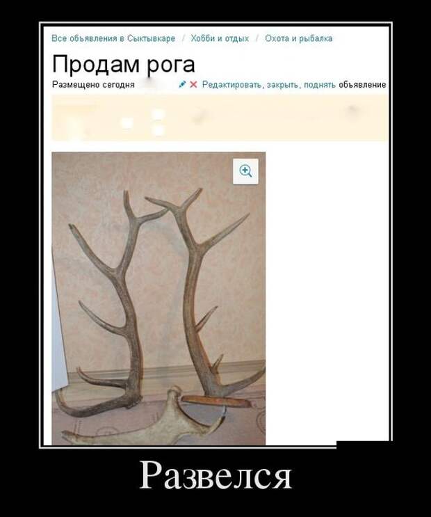 Демотиваторы