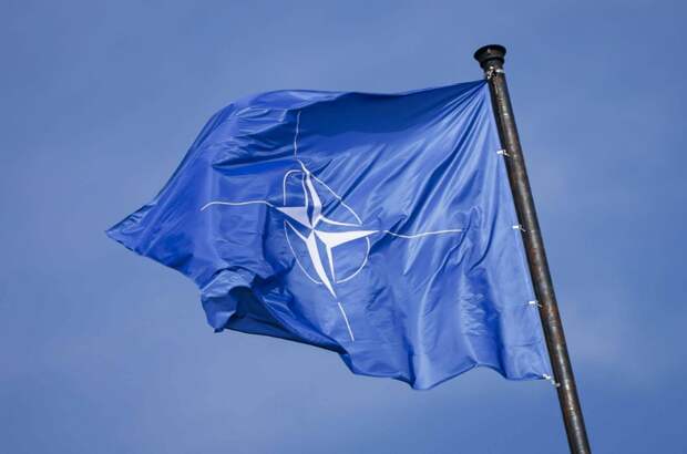 НАТО годами обманывало Грузию: Альянс подсунул стране договор с неточным переводом