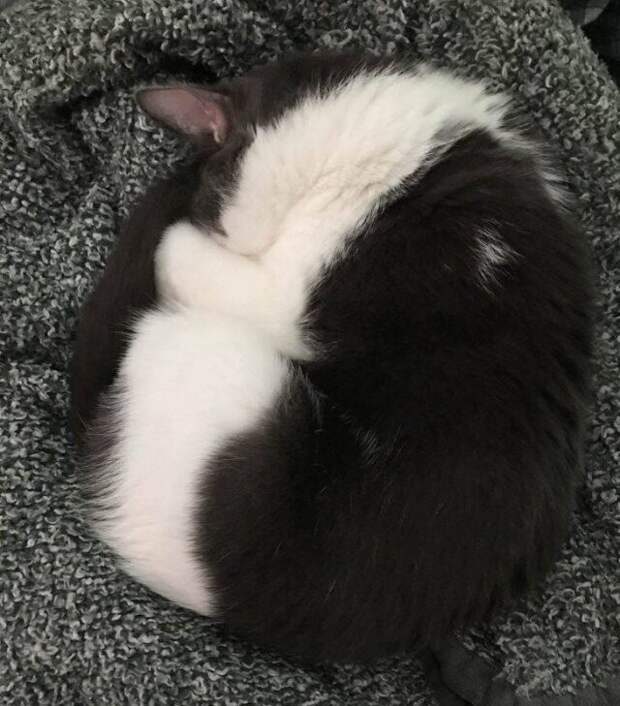 Рай для перфекционистов на идеальных снимках