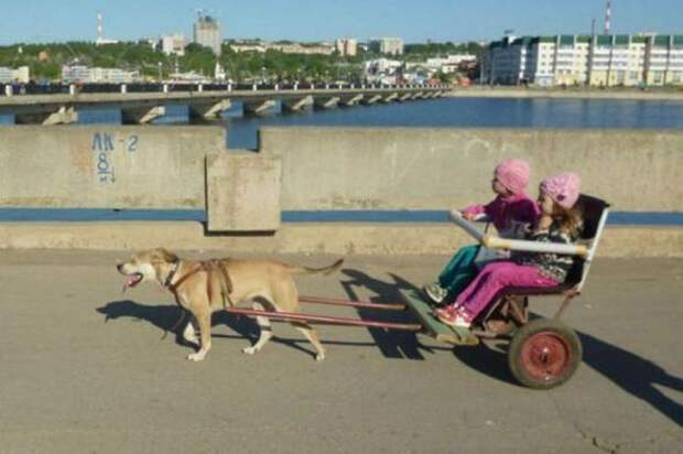 Умом Россию не понять... - в Россию можно только верить:)