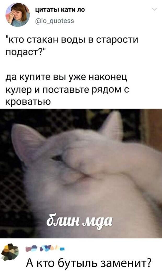 kartinok-prikolnyh-podborka-kartinki-smeshnye-kartinki-fotoprikoly
