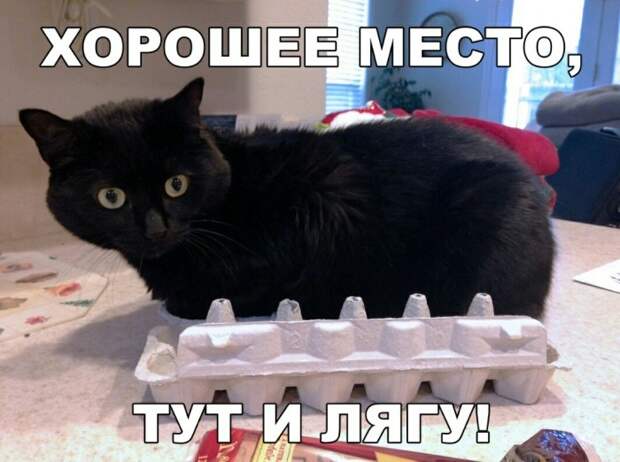 Подборка прикольных картинок