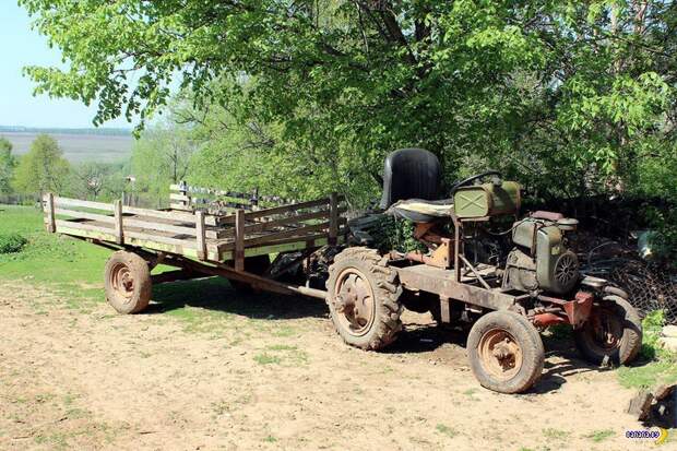 Деревенский народный Mad Max