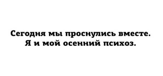 Позитивные и веселые картинки с надписью до слез (11 фото) Позитивные и веселые картинки с надписью до слез (11 фото)
