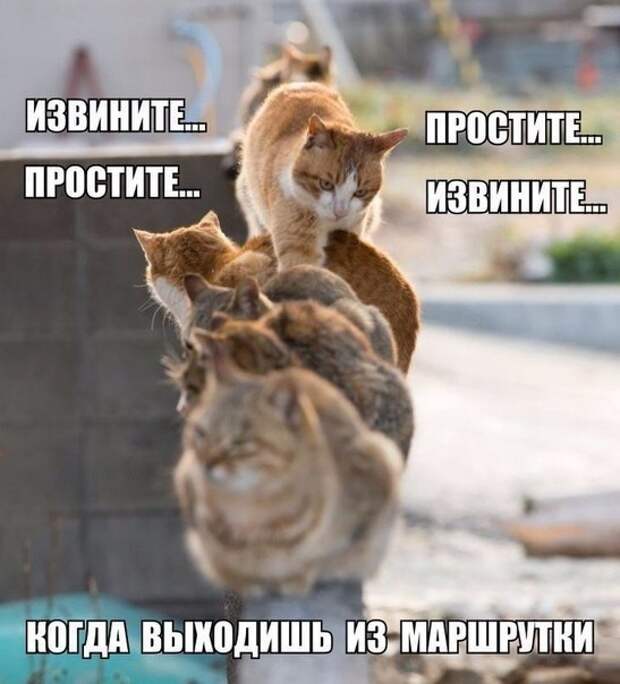 Ну очень смешной черный юмор в картинках! Ну очень смешной черный юмор в картинках!