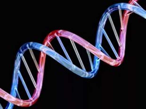 Богатство и успех заложены в ДНК