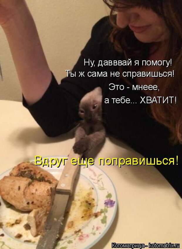 Котоматрица: Ну, давввай я помогу! Ты ж сама не справишься! Это - мнеее,  а тебе... ХВАТИТ! Вдруг еще поправишься!