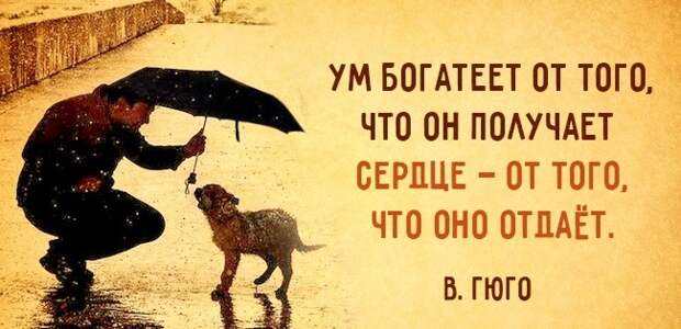 ВИннЕГРЕТ 56 ВИннЕГРЕТ 56