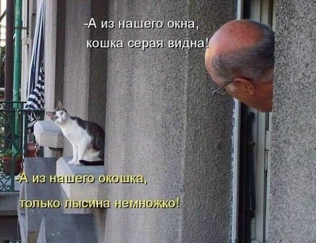Всяко - разно 7  )))