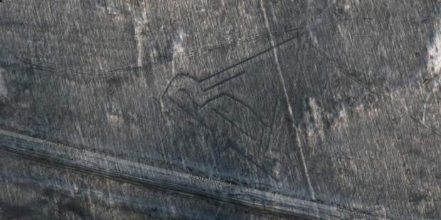 В Приморье обнаружены неизвестные ранее гигантские геоглифы