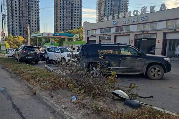 Голубь стал виновником массового ДТП в Хабаровске