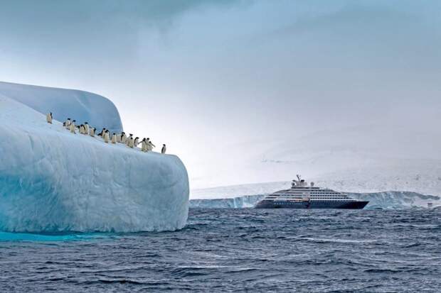 Scenic Eclipse