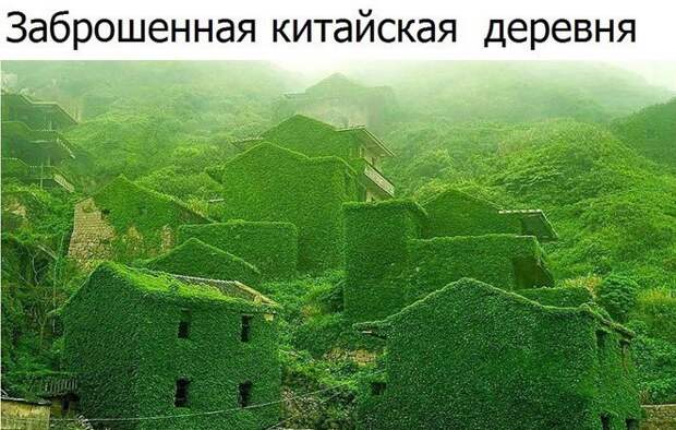 Забавные картинки с надписями со смыслом (11 фото) Забавные картинки с надписями со смыслом (11 фото)