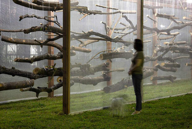 Инсталляция в одном из парков бразильского города Белу-Оризонти, которая напоминает про разрушающее влияние человека на природу.
