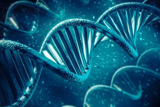 Внутри ДНК раскрыт загадочный геометрический код