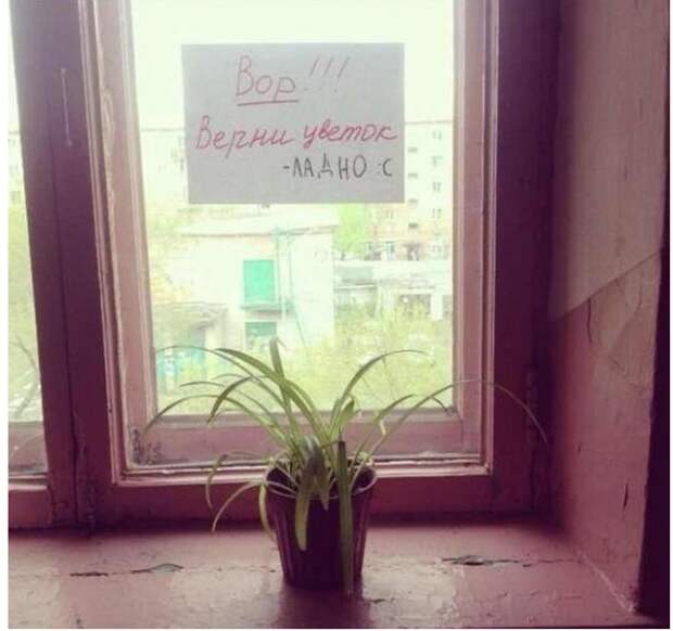 Объявление