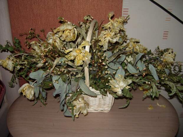 http://madam-internet.com/wp-content/uploads/2013/04/049.jpg