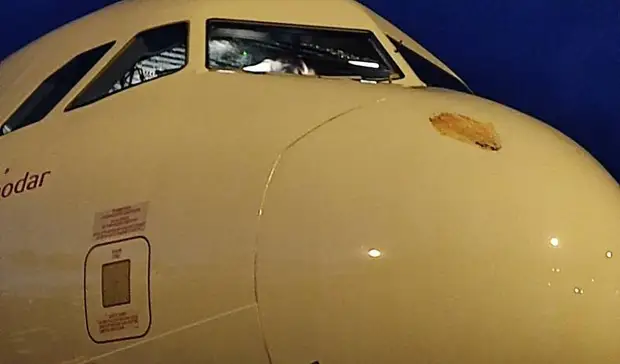 Птица врезалась в самолет авиакомпании «Россия» рейса из Санкт-Петербурга в Пермь