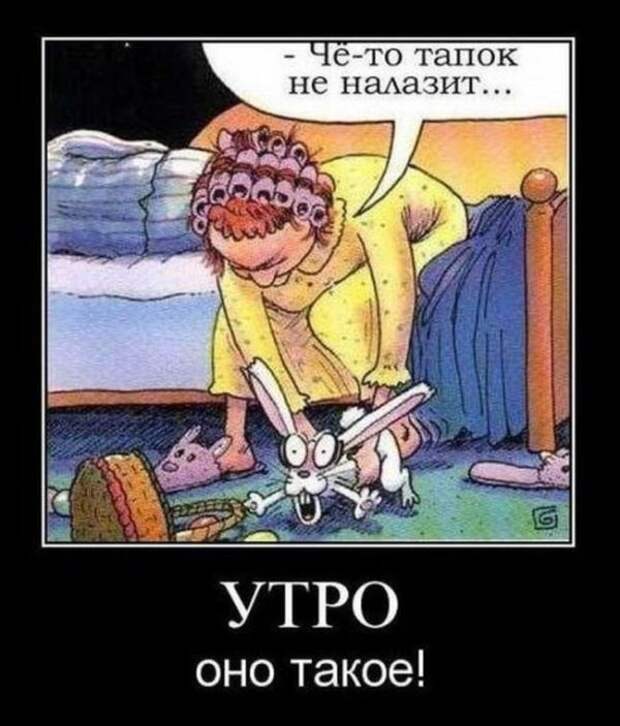 Демотиваторы (30 фото)