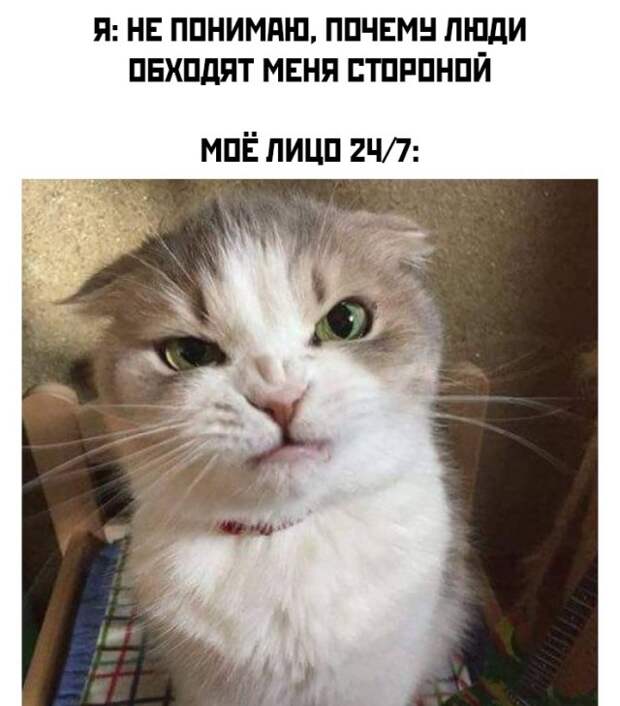 Смешные картинки 1 октября 2021 года