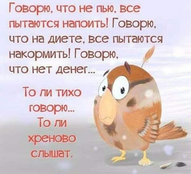 Лучшие юмористические картинки, которые подарят позитив на весь день