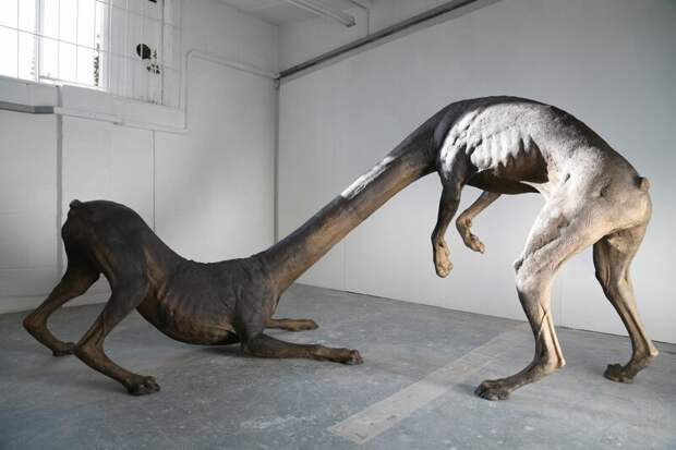 Чарльз Эвери, Тяни-толкай искусство, непонятное, скульптура, фантазия, что делают