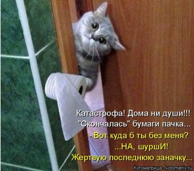 Забавные котоматрицы
