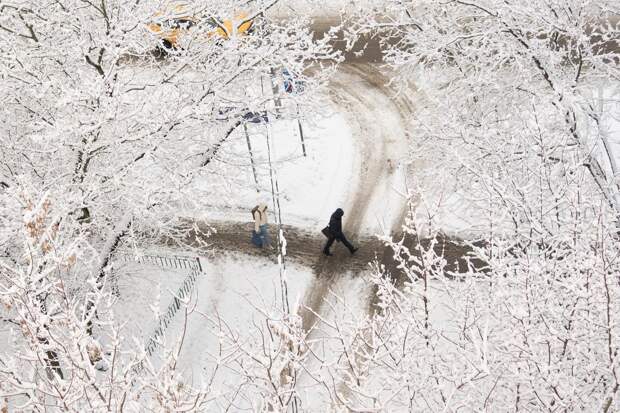 В московский регион пришли 20-градусные морозы