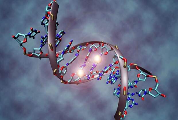 Грегг Брейден: Молекула ДНК может исцелиться при помощи чувств человека