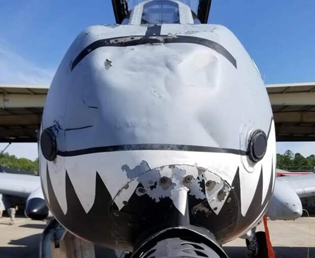 «Не бит, не крашен»: война с Ираном выявила старую проблему A-10 «Бородавочник