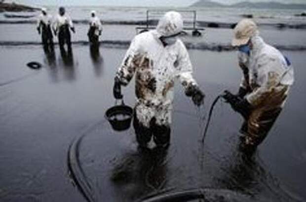 Найден эффективный способ очистки северных почв от нефтепродуктов