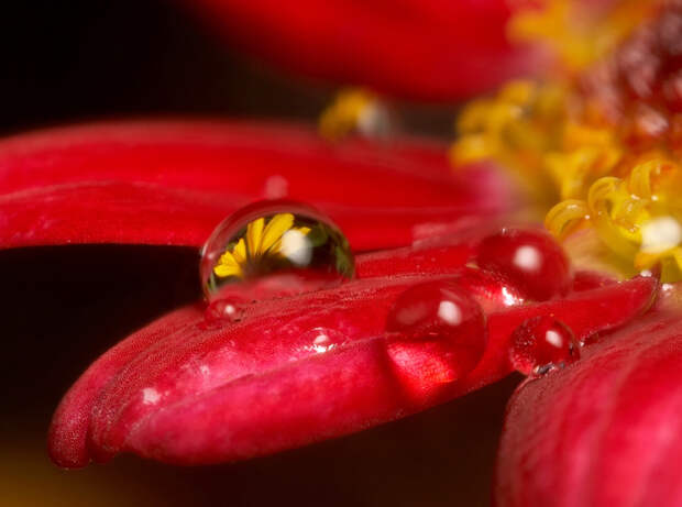 Фотографии капель воды