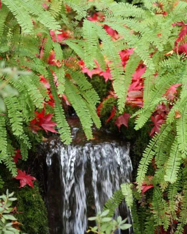 Место чарующее своей красотой и живой природой - The Butchart Gardens. 